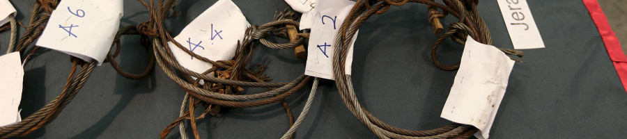 Tang vật mà những người săn trộm dùng làm công cụ săn bắt. Ảnh: PERHILITAN