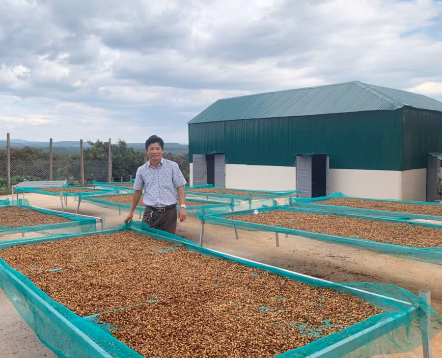  Sản phẩm cà phê chế biến của HTX Phượng Hoàng đã được công nhận đạt OCOP 4 sao cấp tỉnh nhưng vẫn gặp khó về đầu ra. Ảnh: Nhật Hào