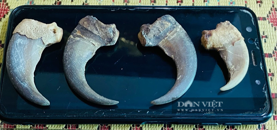 Sau những lần bị bắt tù ở nước ngoài, sau những lần trốn chạy họng súng truy đuổi, họ mang về ít hàng rừng bán lẻ, tùng tiệm sống qua ngày. Ảnh chụp tháng 11/2021: Dân Việt