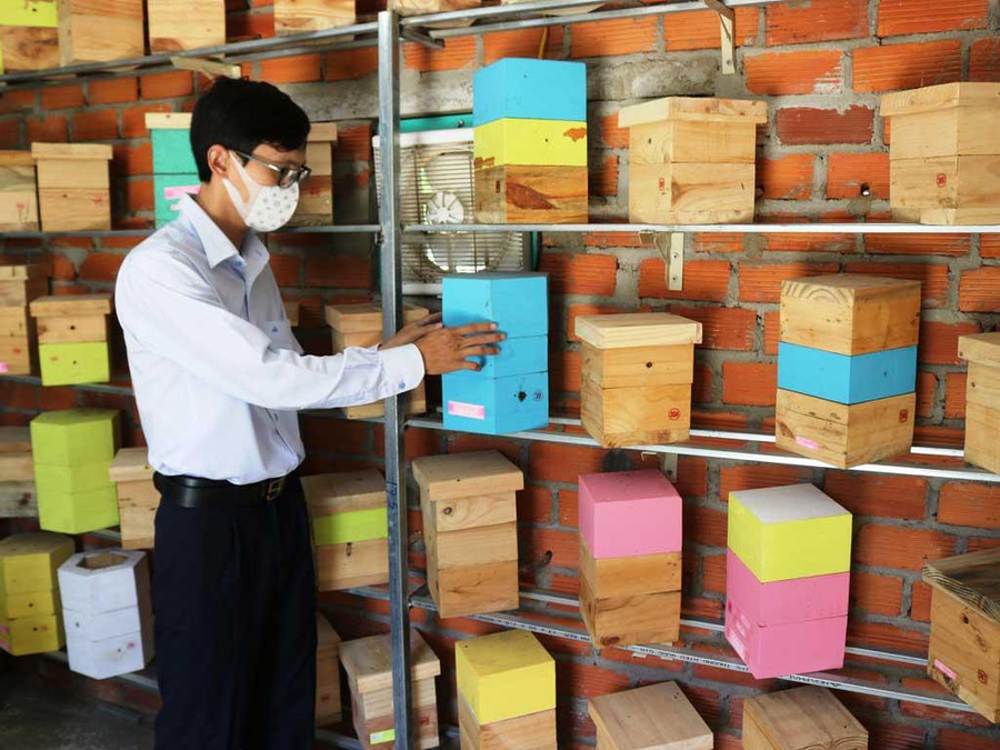 Anh Trực chăm sóc các tổ ong dú tại trang trại của mình. Ảnh: T.N