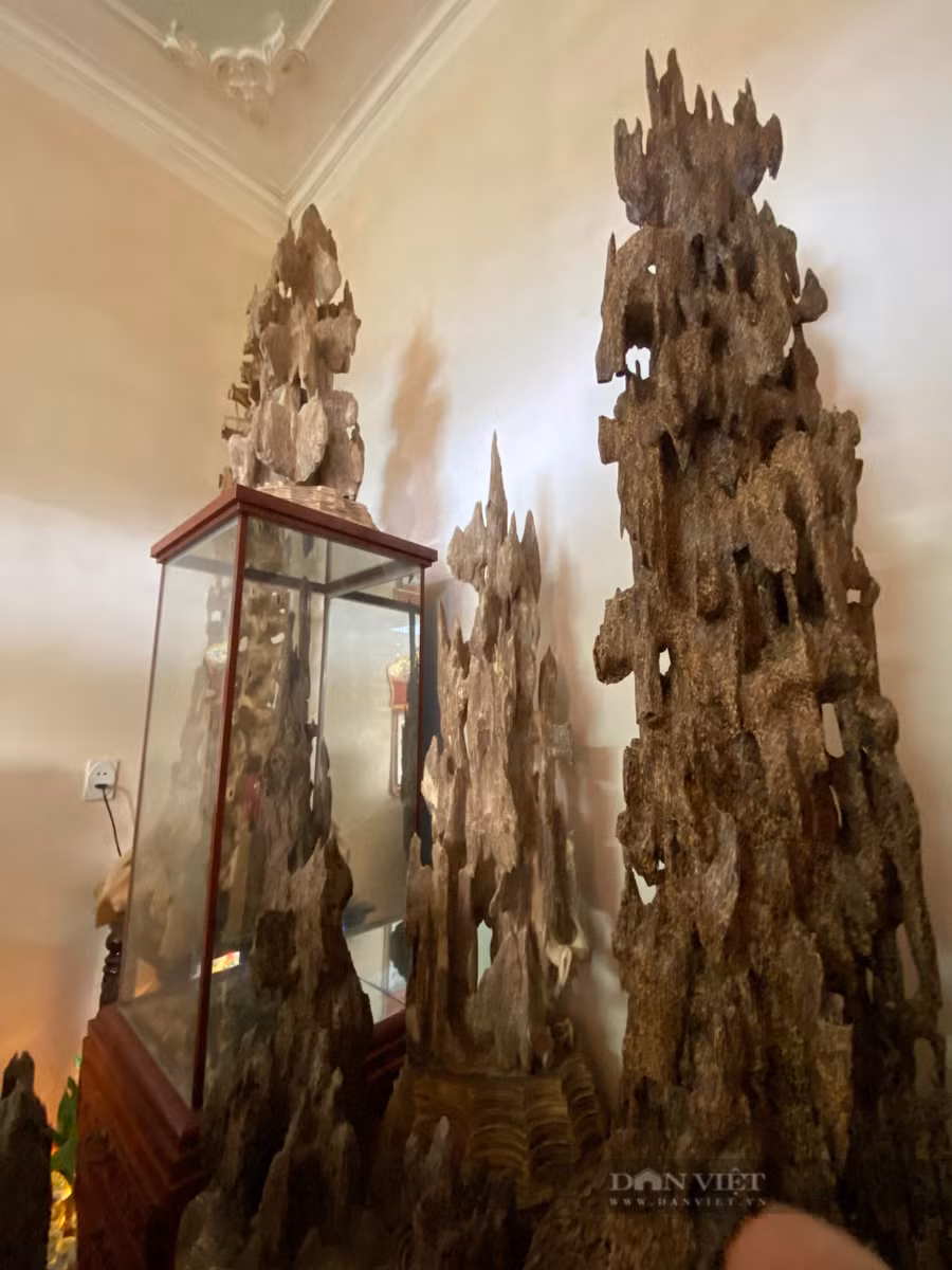 Để tìm được những khúc trầm hương như thế này nhiều phu trầm đã phải bỏ mạng ở nước ngoài. Ảnh những khúc trầm tại nhà ông P ở thông Trúc Ly, xã Võ Ninh, huyện Quảng Ninh, tỉnh Quảng Bình: Dân Việt