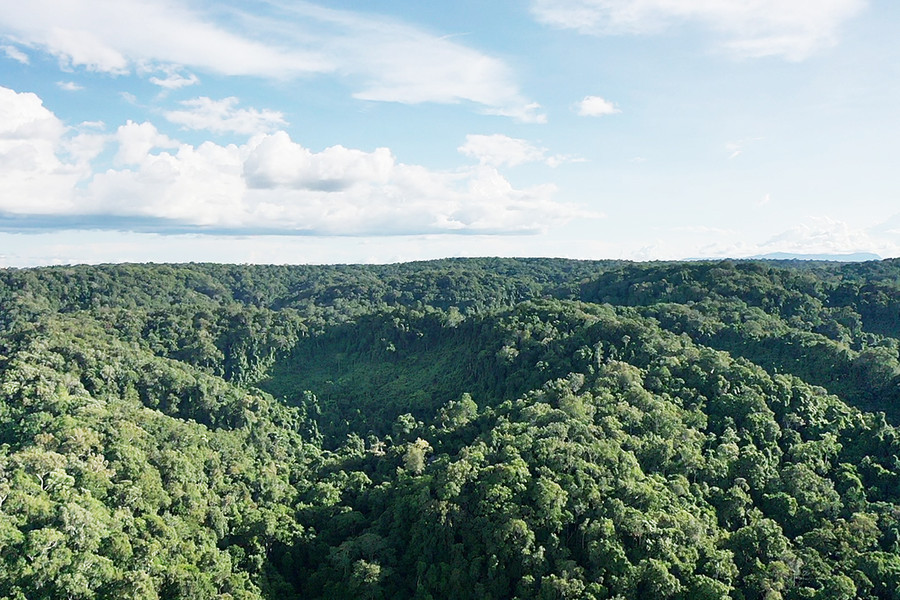 Khu Dự trữ sinh quyển Cao nguyên Kon Hà Nừng trải rộng trên diện tích 413.511,67 ha, bao gồm toàn bộ diện tích Vườn Quốc gia Kon Ka Kinh, Khu Bảo tồn thiên nhiên Kon Chư Răng và một phần diện tích của 5 huyện: Đak Đoa, Mang Yang, Kbang, Chư Păh, Đak Pơ, thị xã An Khê. Ảnh: Tư liệu