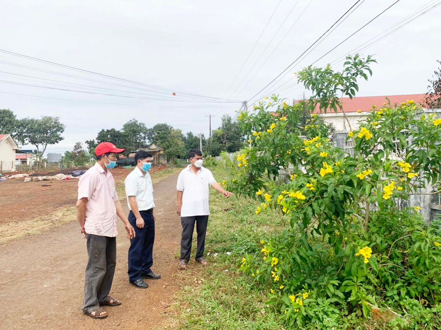 Hơn 1.000 cây hoàng liên trồng từ năm 2020 tại các tuyến đường và khu vực công cộng của xã Ia Drăng đã nở hoa giúp cho không gian thêm tươi mới. Ảnh: Nhật Hào Hơn 1.000 cây hoàng liên trồng từ năm 2020 tại các tuyến đường và khu vực công cộng của xã Ia Drăng đã nở hoa giúp cho không gian thêm tươi mới. Ảnh: Nhật Hào