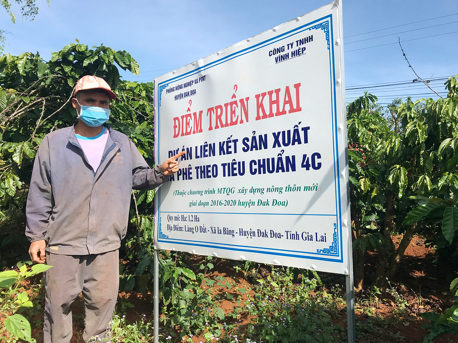 Người dân làng O Đất (xã Ia Băng, huyện Đak Đoa) liên kết với Công ty TNHH Vĩnh Hiệp sản xuất cà phê theo tiểu chuẩn 4C. Ảnh: Nguyễn Hồng Người dân làng O Đất (xã Ia Băng, huyện Đak Đoa) liên kết với Công ty TNHH Vĩnh Hiệp sản xuất cà phê theo tiểu chuẩn 4C. Ảnh: Nguyễn Hồng