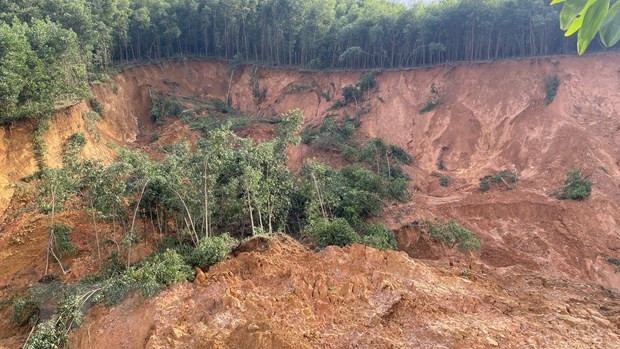 Ảnh minh họa. (Nguồn: TTXVN) Ảnh minh họa. (Nguồn: TTXVN)