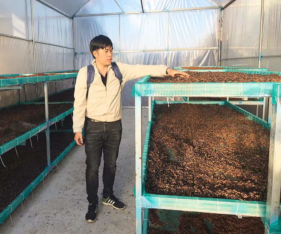  Ông Nguyễn Văn Hòa-Giám đốc HTX cà phê Tân Nông Nguyên (thị trấn Chư Sê) là một trong những trí thức trẻ có trình độ đại học thụ hưởng chính sách hỗ trợ nhân lực để phát triển HTX. Ảnh: Nguyễn Diệp