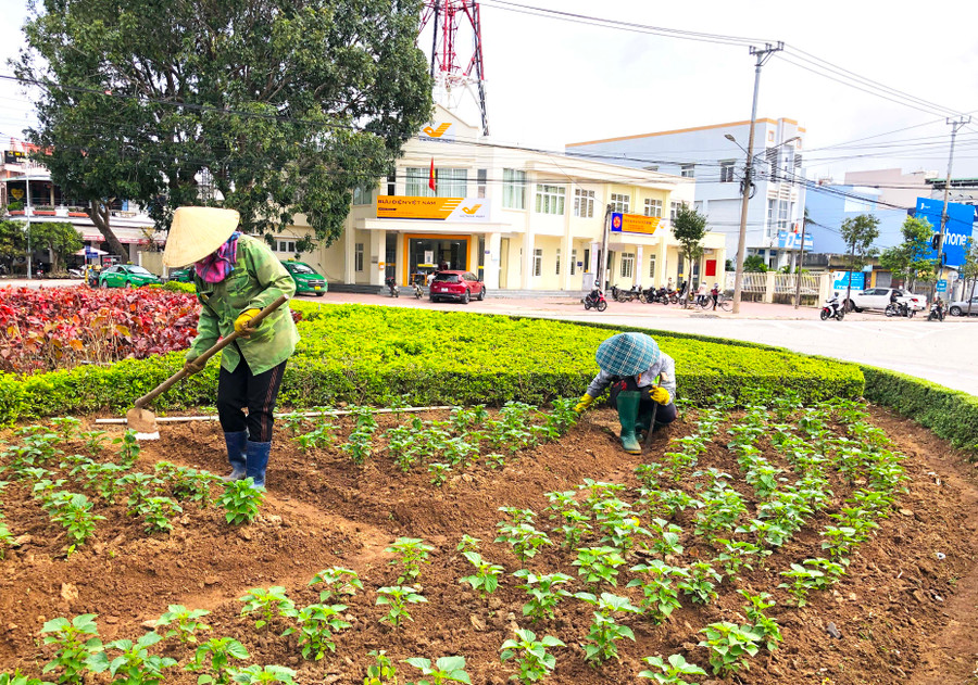 Công nhân Ban Quản lý Nhà máy rác và dịch vụ đô thị thị xã An Khê chăm sóc cây hoa tại đảo giao thông. Ảnh: An Phát