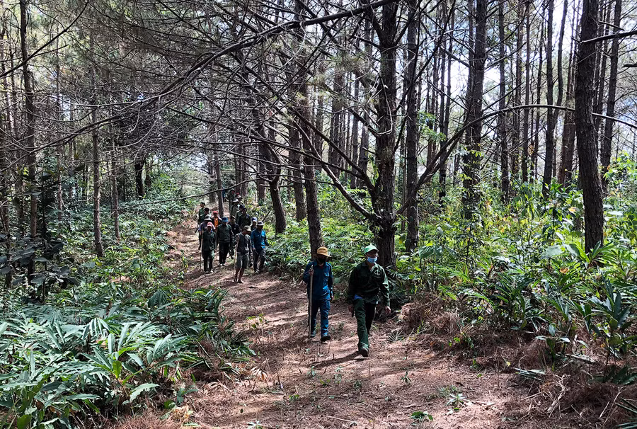 Lực lượng chức năng huyện Chư Păh tăng cường tuần tra bảo vệ rừng. Ảnh: Minh Nguyễn
