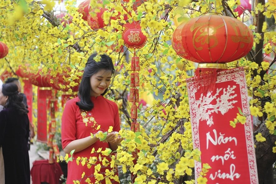 Ảnh minh hoạ TV