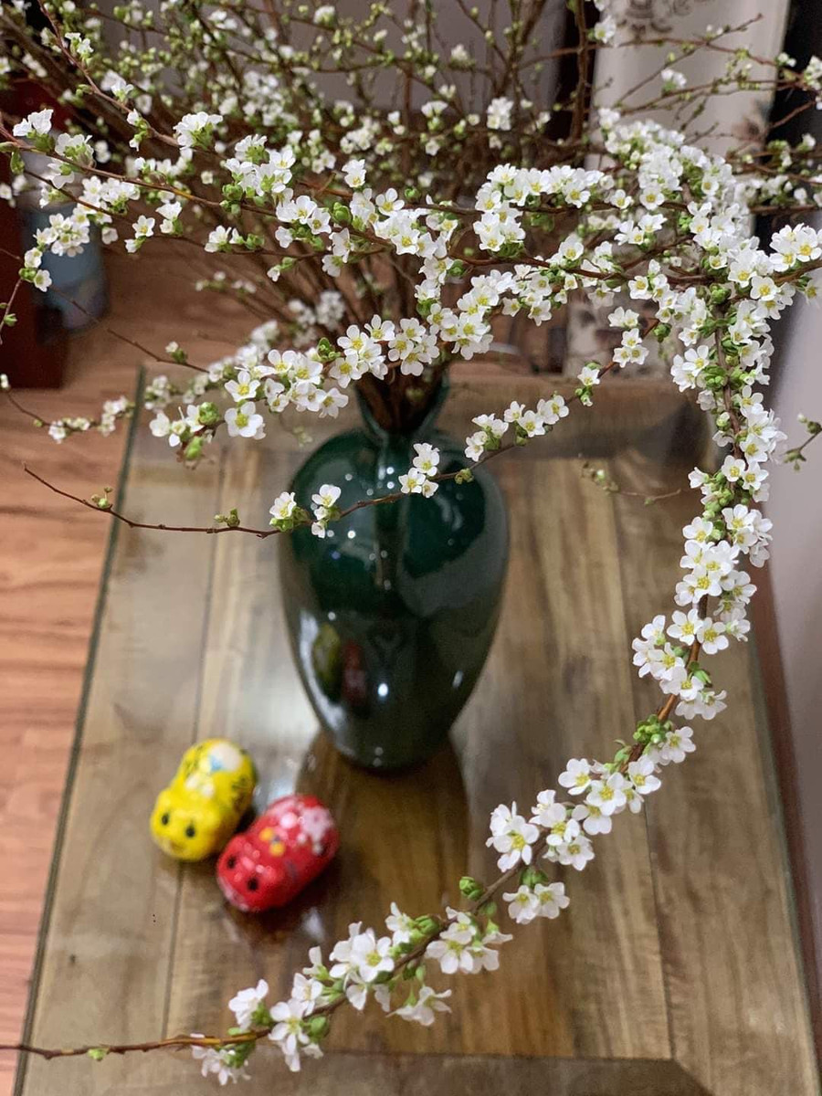 Tương tự như lá, hoa tuyết mai mỗi lần nở rất nhiều, phủ khắp cành nên tạo cảm giác thu hút. Cây thường nở hoa vào đầu xuân nên thường được chọn làm cây trưng Tết.