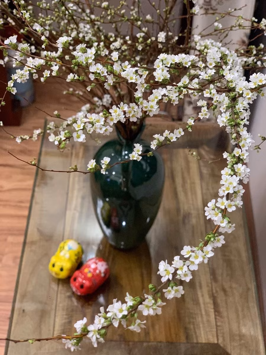 Tương tự như lá, hoa tuyết mai mỗi lần nở rất nhiều, phủ khắp cành nên tạo cảm giác thu hút. Cây thường nở hoa vào đầu xuân nên thường được chọn làm cây trưng Tết.