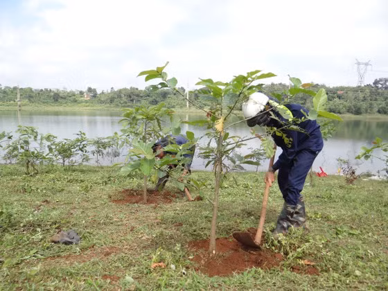  Các địa phương trồng cây xanh mở rộng độ che phủ. Ảnh: Tổng cục Lâm nghiệp