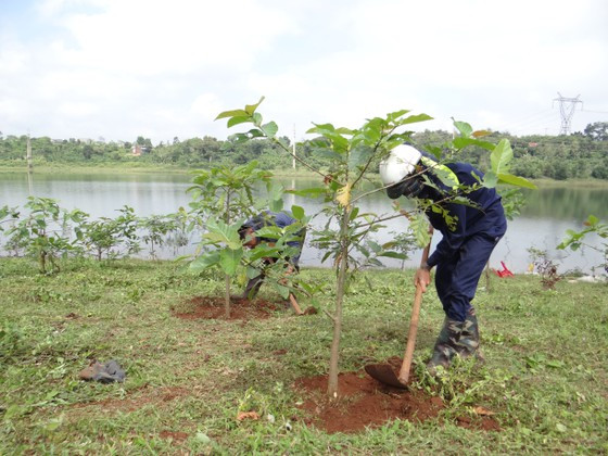 Các địa phương trồng cây xanh mở rộng độ che phủ. Ảnh: Tổng cục Lâm nghiệp Các địa phương trồng cây xanh mở rộng độ che phủ. Ảnh: Tổng cục Lâm nghiệp