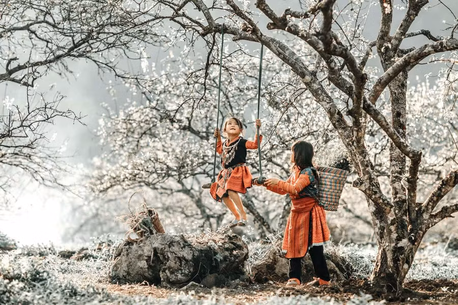 Du lịch ở dâu Tết Dương lịch?. Hà Giang là gợi ý hấp dẫn cho chuyến du lịch dịp Tết Dương lịch. Ảnh: vntrip.