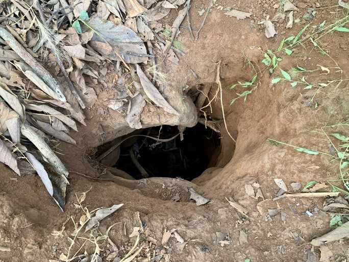 Nơi được cho rằng nghi can đã trốn để tránh sự truy tìm của lực lượng công an. Nơi được cho rằng nghi can đã trốn để tránh sự truy tìm của lực lượng công an