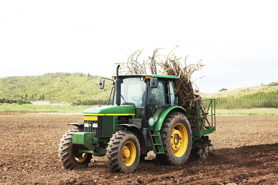 Công ty TTC Gia Lai chú trọng cơ giới hóa từ khi trồng, chăm sóc đến thu hoạch. Ảnh: Nguyễn Diệp Thành Thành Công Gia Lai chú trọng cơ giới hóa từ lúc trồng đến chăm sóc và thu hoạch. Ảnh: Nguyễn Diệp