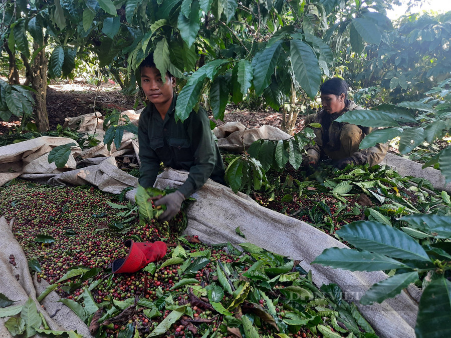Phạm Văn Tùng (trái) vui mừng khi sắp có tiền để lo cho vợ và đứa con gái 6 tháng tuổi. Ảnh: Hoàng Lộc