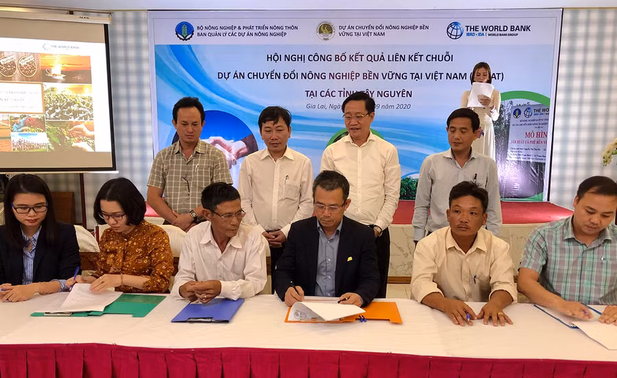 Các doanh nghiệp và hợp tác xã ký kết liên kết tiêu thụ sản phẩm cà phê niên vụ 2020-2021 (ảnh chụp trước tháng 4-2021). Ảnh: Lê Nam