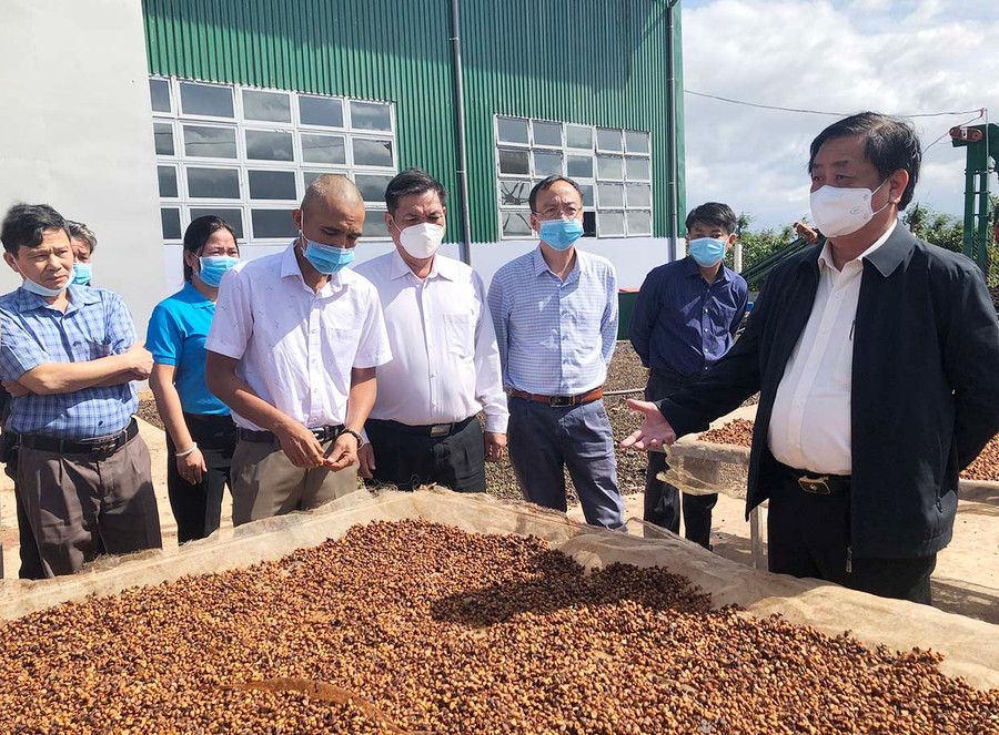 Bộ trưởng Bộ Nông nghiệp và PTNT Lê Minh Hoan (bìa phải) thăm Hợp tác xã nông nghiệp và dịch vụ Nam Yang (huyện Đak Đoa). Ảnh: Lê Nam