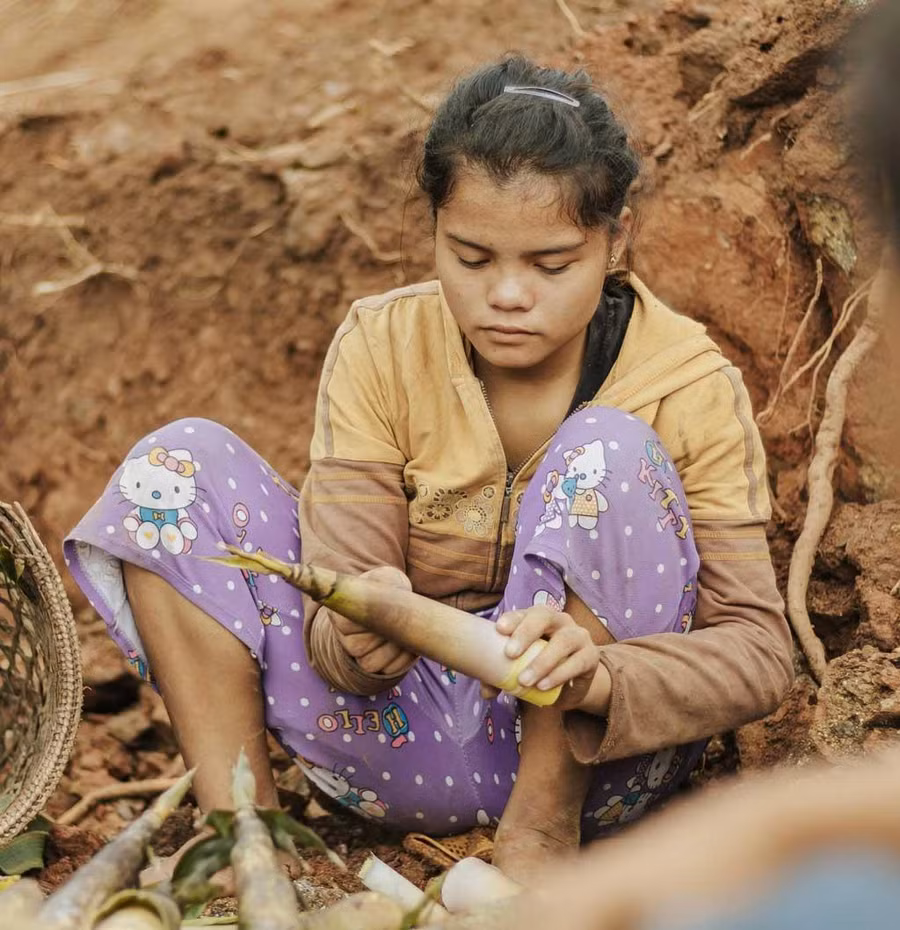 Trước khi bán măng, phải bóc vỏ. Ảnh: Bá Cường