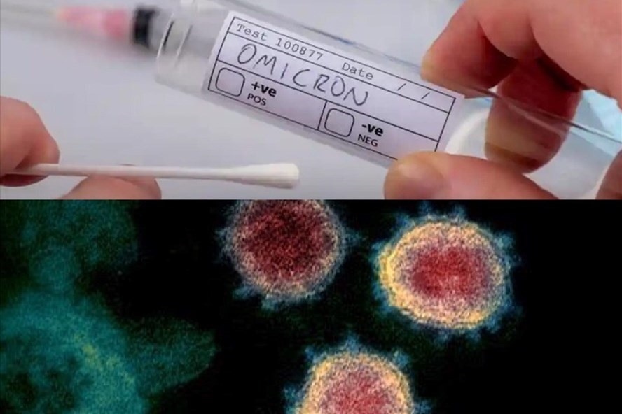 Biến chủng Omicron đã được phát hiện tại Việt Nam. Ảnh đồ họa: Hương Giang