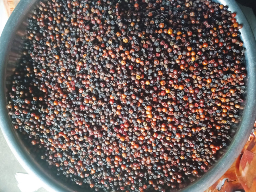 Giá tiêu xô hôm nay tại thị trường trong nước tăng trở lại từ 1.000 - 1.500 đồng/kg. Ảnh minh hoạ Giá tiêu xô hôm nay tại thị trường trong nước tăng trở lại từ 1.000 - 1.500 đồng/kg. Ảnh minh hoạ