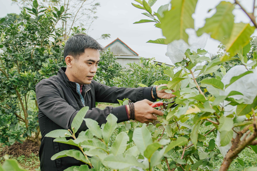  Trưởng thôn 9X Phùng Đình Đức đang góp công lớn cho việc trẻ hóa nhiều hoạt động của thôn. Ảnh: Bá Cường