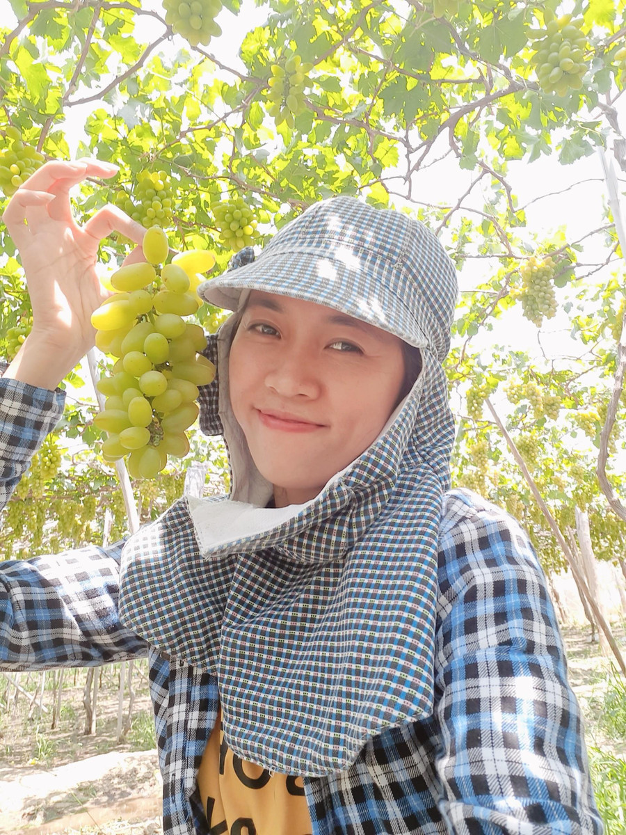  Farm của Trang chủ yếu là nho và táo