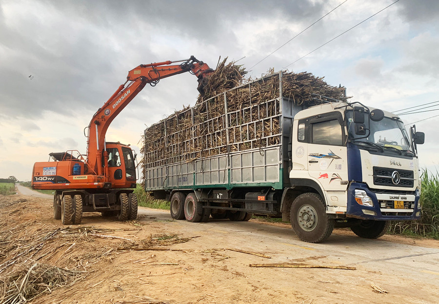 Cơ giới hóa được đưa vào sản xuất đã giúp người trồng mía huyện Ia Pa giải bài toán nan giải về nhân công, tăng thu nhập trên cùng một đơn vị diện tích.Ảnh.Vũ Chi. Ảnh: Vũ Chi