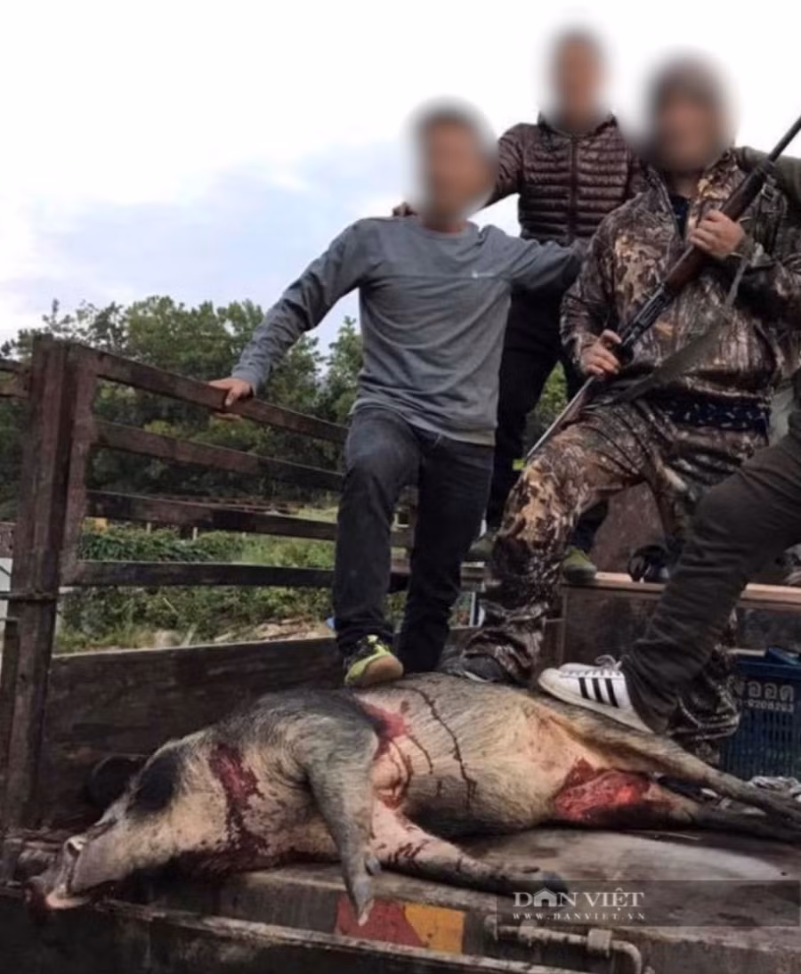 Một nhóm đối tượng người Việt khoe 