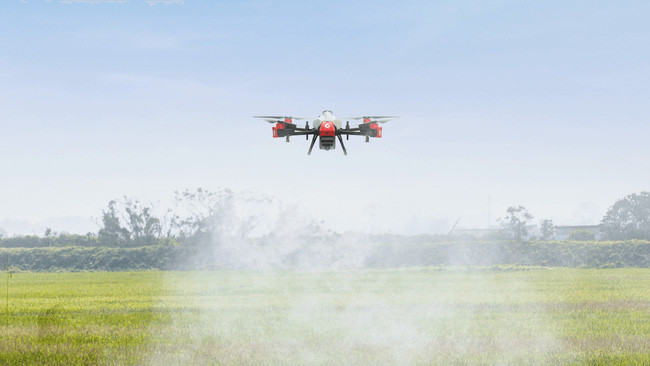 Trong năm 2022, Cục Trồng trọt sẽ xây dựng phần mềm cơ sở dữ liệu quốc gia về trồng trọt. Ảnh: T.L