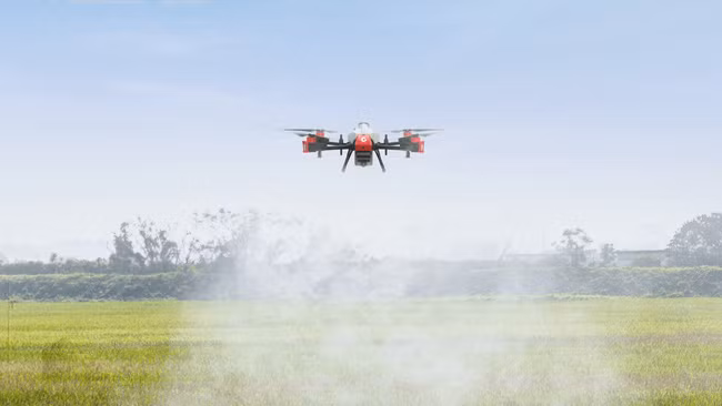 Trong năm 2022, Cục Trồng trọt sẽ xây dựng phần mềm cơ sở dữ liệu quốc gia về trồng trọt. Ảnh: T.L