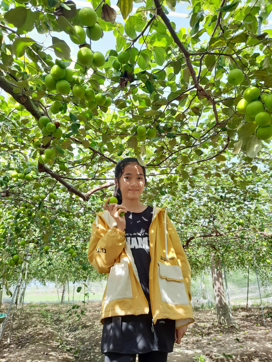 Vợ chồng Trang đang định hướng xây dựng và phát triển du lịch trải nghiệm tại Farm của mình