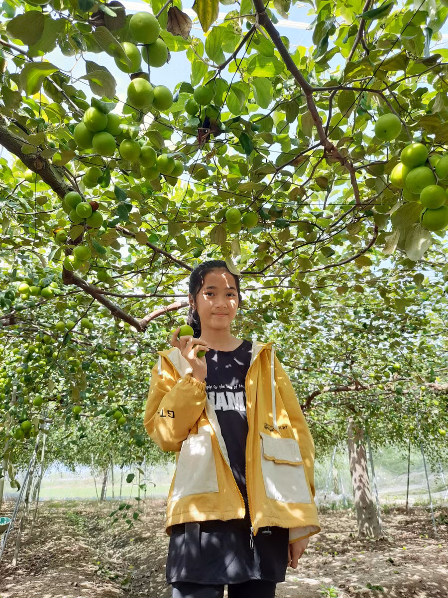 Vợ chồng Trang đang định hướng xây dựng và phát triển du lịch trải nghiệm tại Farm của mình