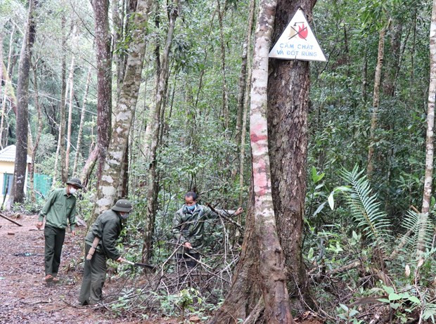 Nhân viên quản lý bảo vệ rừng tuần tra tại Khu bảo tồn thiên nhiên Kon Chư Răng - vùng lõi khu dự trữ sinh quyển thế giới Cao nguyên Kon Hà Nừng. (Ảnh: Hồng Điệp/TTXVN)