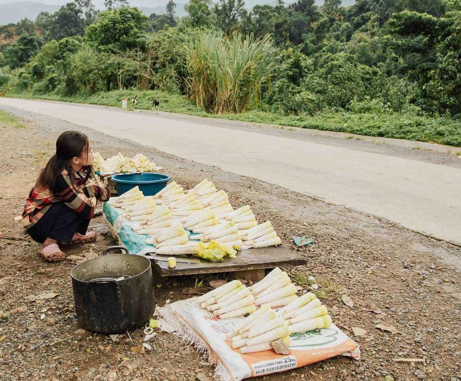 Bày bán măng rừng bên vệ đường. Ảnh: Bá Cường