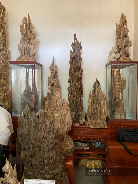 Xuyên quốc gia, tìm lâm thổ sản về chế tác và bán, một cái nghề đầy hiểm họa mà nhiều người dân thôn Trúc Ly, xã Võ Ninh, huyện Quảng Ninh, tỉnh Quảng Bình đã làm. Ảnh chụp tháng 11/2021: Dân Việt