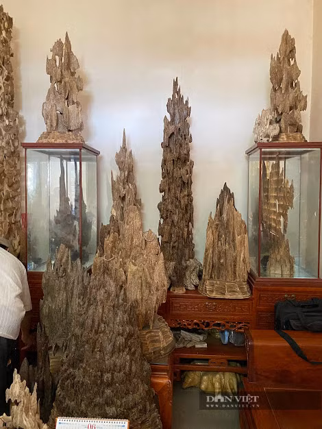 Xuyên quốc gia, tìm lâm thổ sản về chế tác và bán, một cái nghề đầy hiểm họa mà nhiều người dân thôn Trúc Ly, xã Võ Ninh, huyện Quảng Ninh, tỉnh Quảng Bình đã làm. Ảnh chụp tháng 11/2021: Dân Việt