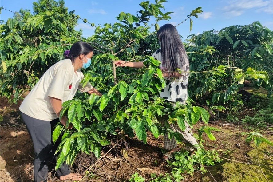 Người lao động trở về Tây Nguyên từ các tỉnh thành khu vực phía Nam đang khó tìm kiếm công việc ổn định. Ảnh: Thanh Tuấn