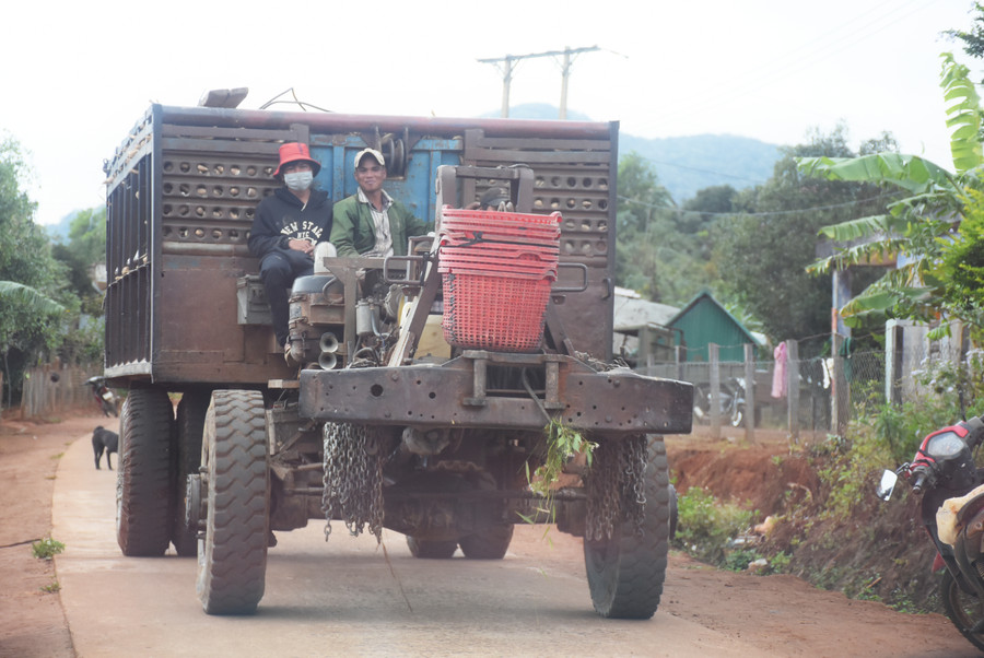 Giá nông sản cao, đường sá thuận lợi nên không còn chuyện bị ép giá hay mất cước vận chuyển lớn, người dân làng Pờ Yầu có đồng ra đồng vào, cải thiện thu nhập