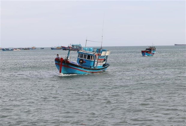 Ngư dân huyện Thuận Nam, Ninh Thuận khẩn trương đưa tàu cá vào bờ tránh ảnh hưởng của bão Rai. (Ảnh: Nguyễn Thành/TTXVN) Ngư dân huyện Thuận Nam, Ninh Thuận khẩn trương đưa tàu cá vào bờ tránh ảnh hưởng của bão Rai. (Ảnh: Nguyễn Thành/TTXVN)