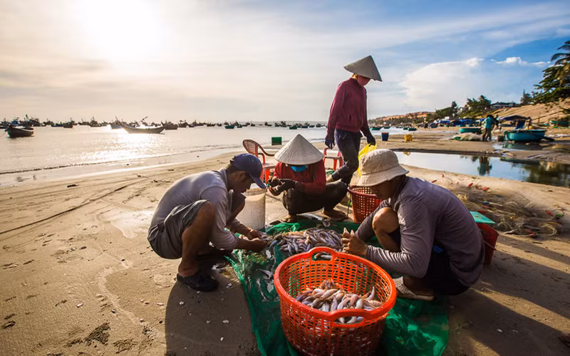 Chợ cá buổi sớm trên biển Mũi Né. Ảnh: VietnamTourism