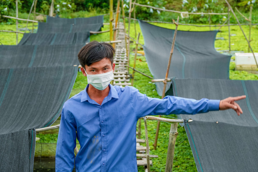 Khu vực ao ương ốc giống của anh Khương. Ảnh: Duy Tân