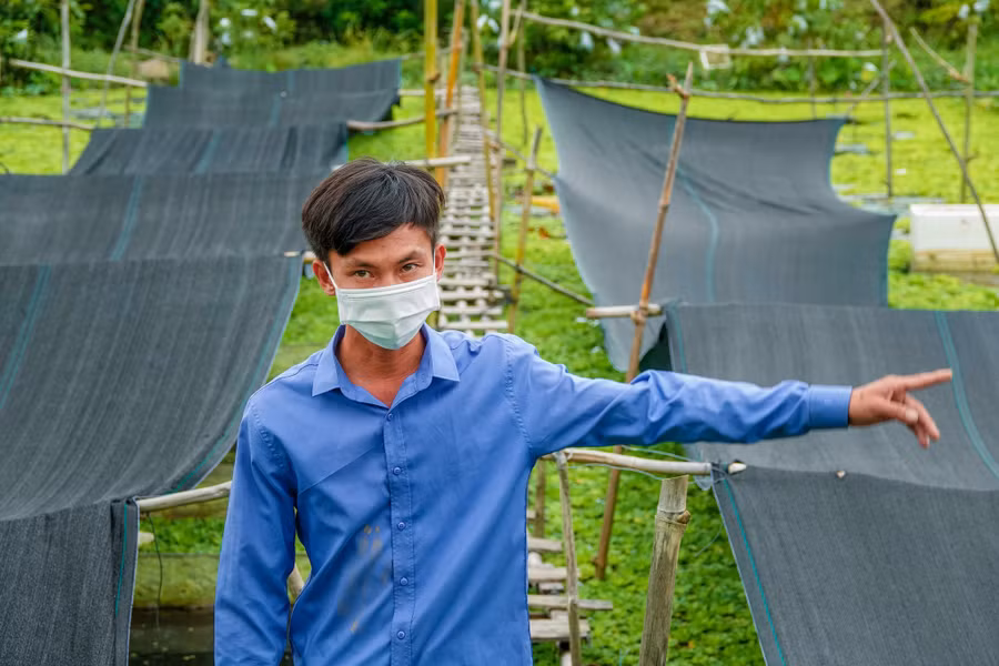 Khu vực ao ương ốc giống của anh Khương. Ảnh: Duy Tân