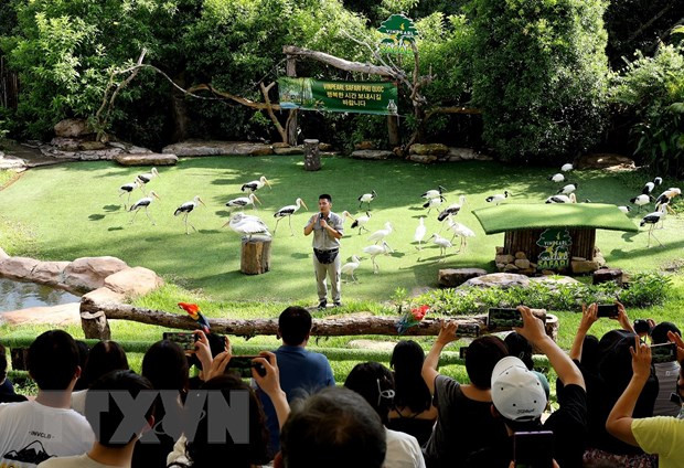 Khách quốc tế Hàn Quốc tham quan Công viên chăm sóc và bảo tồn động vật Vinpearl Safari Phú Quốc ngày 21/11/2021. Ảnh: Hồng Đạt/TTXVN