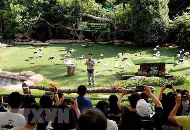 Khách quốc tế Hàn Quốc tham quan Công viên chăm sóc và bảo tồn động vật Vinpearl Safari Phú Quốc ngày 21/11/2021. Ảnh: Hồng Đạt/TTXVN