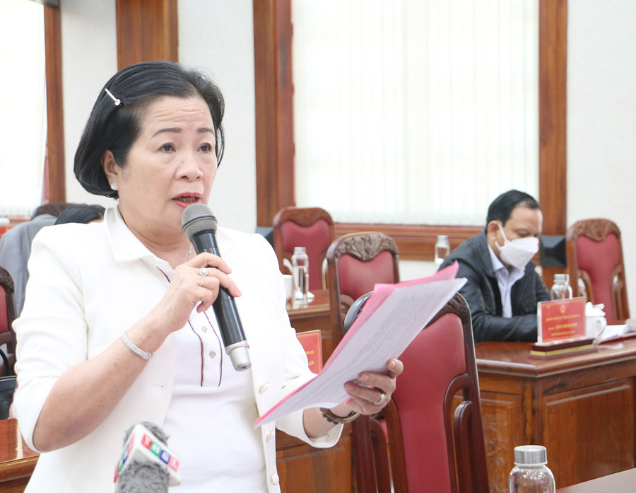 Đại biểu Nguyễn Thị Sen-Chủ tịch Hiệp hội Doanh nghiệp tỉnh nêu một số khó khăn của các doanh nghiệp gặp phải trong năm qua. Ảnh: Tấn Thi