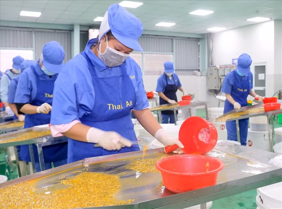 Công ty Cổ phần Chế biến Nông sản thực phẩm Thái An, tại KCN Tâm Thắng, huyện Cư Jút chế biến sản phẩm. Ảnh: Nguyễn Lương