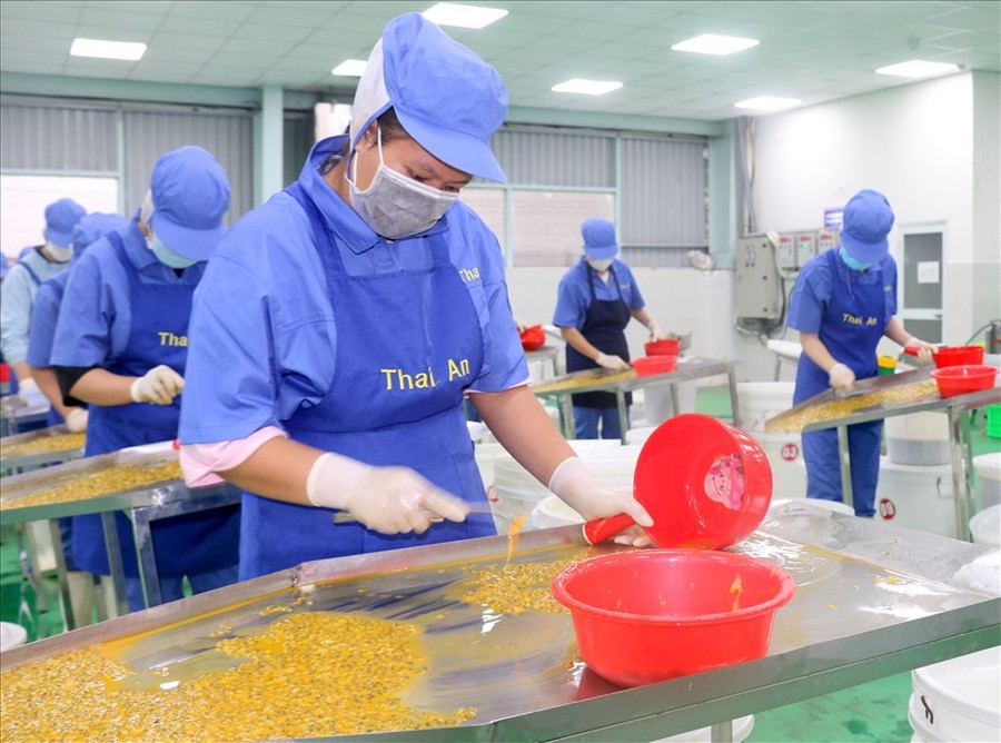 Công ty Cổ phần Chế biến Nông sản thực phẩm Thái An, tại KCN Tâm Thắng, huyện Cư Jút chế biến sản phẩm. Ảnh: Nguyễn Lương