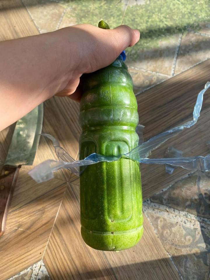  Đến lúc chiêm ngưỡng thành quả nào.